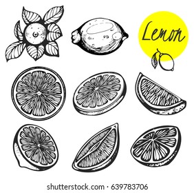 Vector set of hand-drawn fruts: Lime, lemon