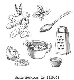 Vector set of hand-drawn illustrations of ingredients for ginger drink. Sketches of cup, grater, honey, lemon and mint.