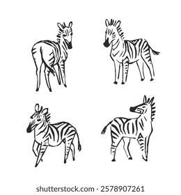 Vector set of hand-drawn illustrations of zebra. Cute African animals in linocut style. Black and white sketch.