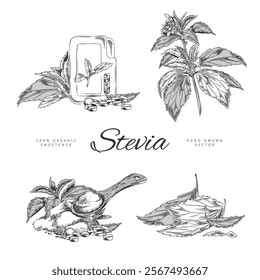 Vector set of hand-drawn images of stevia plants, greens, leaves, tablets and powder. A natural sweetener for sugar-free diets on a white background.