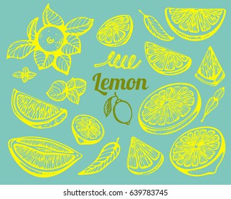 Vector set of hand-drawn lemon