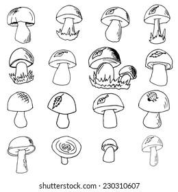 vector set of hand-drawn mushrooms on white background