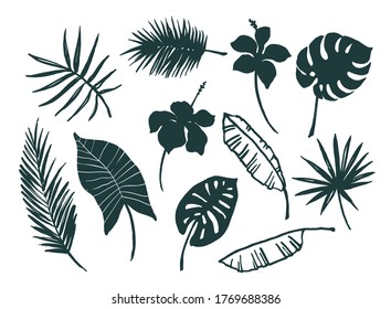 Vector set of hand-drawn tropical leaves and flowers. Design elements.