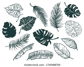 Vector set of hand-drawn tropical leaves. Design elements.