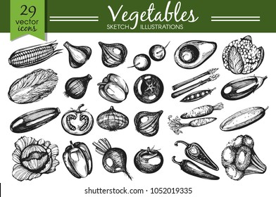 Vector set with hand-drawn vegetables