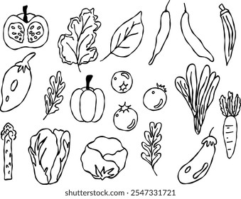 Vector conjunto de verduras dibujadas a mano. Concepto de estilo de vida saludable en estilo de dibujo animado. Iconos colección con zanahoria, repollo, cebolla, chile, rúcula, tomate, repollo, albahaca, pimienta, espárragos