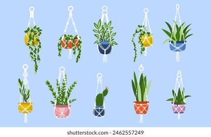 Vector set of handmade macrame hangers pots with houseplants isolated on blue background. Scandinavian style interior decoration illustration