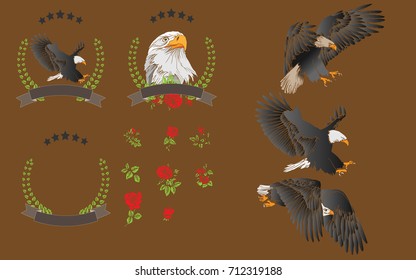 Vector set hand-painted eagle and red rose For graphic design, signage and text.