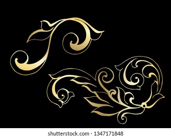 Vector set of hand-painted vintage baroque ornament. Retro pattern antique style acanthus