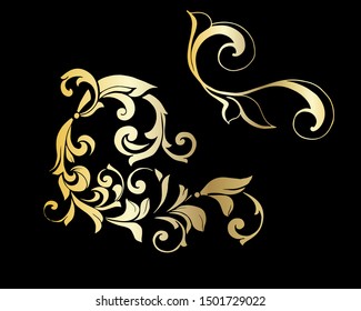Vector set of hand-painted vintage baroque ornament. Retro pattern antique style acanthus