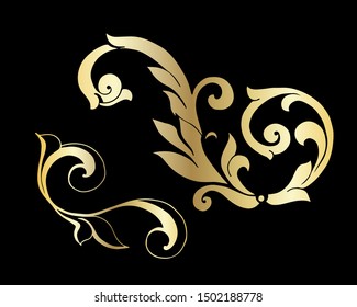 Vector set of hand-painted vintage baroque ornament. Retro pattern antique style acanthus