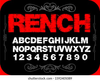 Vector set of handwritten fonts alphabet letters