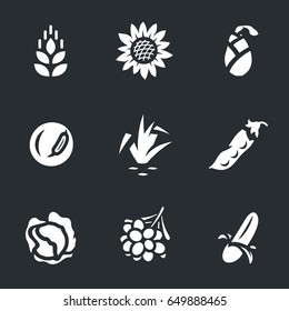 Vector Set of Harvest Icons.