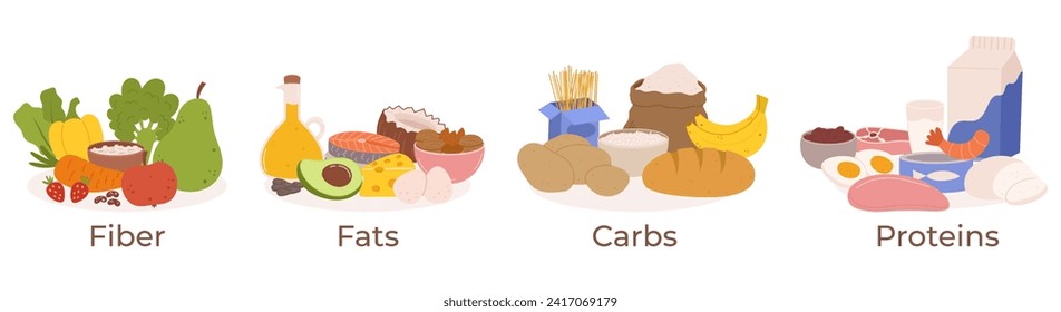 Vector Set Healthy Food Groups. Fiber, Fats, Carbs or Proteins Include Fruits, Vegetables, Whole Grains, Lean Proteins, And Dairy Or Dairy Alternatives, Provides Essential Nutrients For Optimal Health