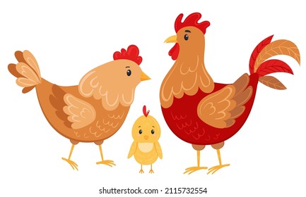 Vector set of hen, rooster, chick isolated on white background. Flat vector illustration in cartoon style for kids, books and learning cards.