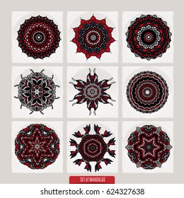 Vector Set of henna floral elements based on traditional Asian ornaments. Paisley Mehndi Doodles collection