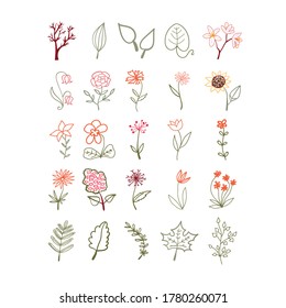 Vector set of herbal different elements. Collection of botanical elements for floral compositions, greeting cards, posters, invitations, scrapbook, web