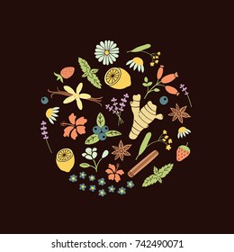 vector set of herbal tea ingredients arranged in a circle, dark brown background