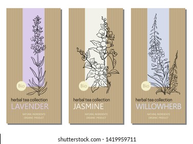 Vector set of herbal tea labels with herbs and plants sketches: jasmine, lavender and willow herb. Packaging template. Healthy food, bio, organic, natural product, herbal tea.