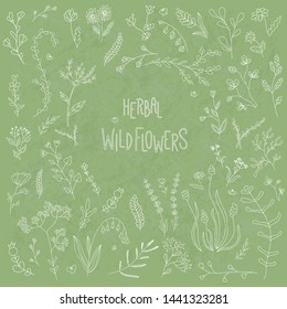 Vector set with herbal wild flowers. Collection of stylized herbs and plants. Pattern for your design, romantic greeting cards, posters, textile. Thin delicate lines silhouettes of different flowers.
