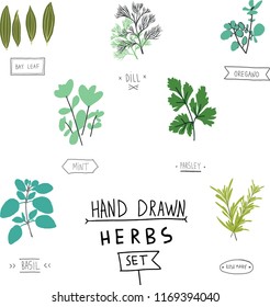 vector set of herbs isolated illustration  