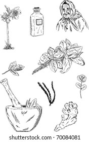 vector - set of herbs with old herbewoman