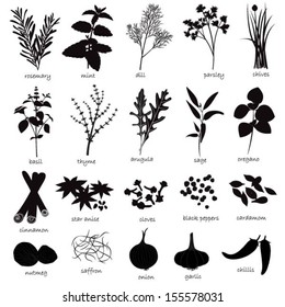 Vector Set of Herbs and Spices 