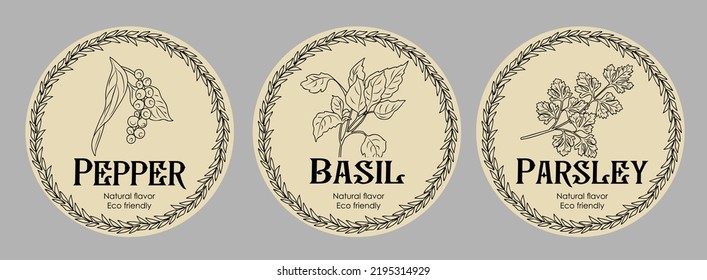 Vector Set Of Herbs And Spices Food Labels With Herbs Sketches: Pepper, Basil And Parsley. Packaging And Labeling Template. Healthy Food, Bio, Organic, Natural Flavor, Eco Friendly, Kitchen Herbs .