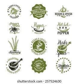 Vector Set Of Herbs And Spices  Labels, Badges And Hand Drawn Design Elements. . Logo Collection.