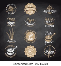 Vector set of herbs and spices labels, badges and hand drawn design elements. Logo collection. Chalkboard.