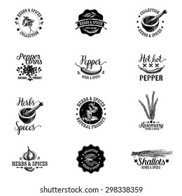 Vector Set Of Herbs And Spices Labels, Badges And Hand Drawn Design Elements. Logo Collection.