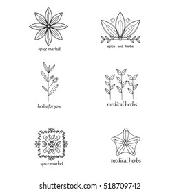 Vector set of herbs and spices logo and hand drawn design elements. Logo collection.
