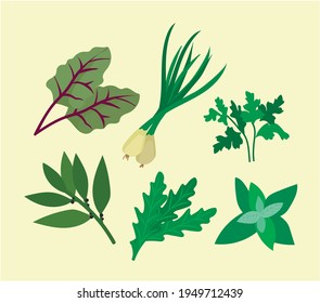 
vector set of herbs herbs and spices. onion cilantro salad mint chard