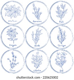 Vector set of herbs. Stamp herbs set. Vector illustration 