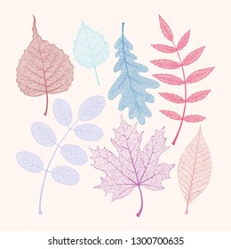 Vector set of high detailed skeleton leaves
