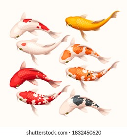 Vector set of high detailed white, red and yellow koi fish