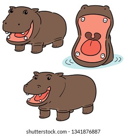 vector set of hippopotamus