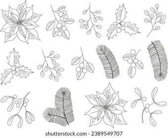 Vector set of holidays graphic elements. Merry Christmas floral design for invitation and greeting card, prints and posters.  Hand drawn winter plants
