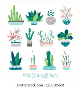 Vector set with home plants in cute pots. Pastel palette. Illustration in free hand-drawn style.