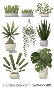 Vector set of home plants in pots. Floral elements for decorating a home, room flat.