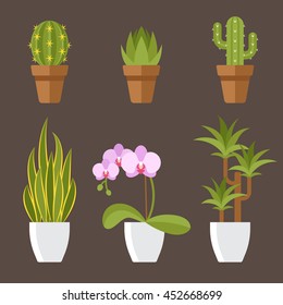 Vector set of home plants in pots for interior decoration. Cactuses, aloe, snake plant, orchid flower, dracaena. Flat style.