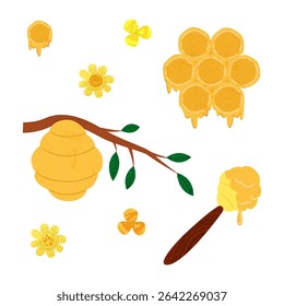 Vector set with honey, honeycomb pieces, beehive on tree branch, chamomile flowers, flowing liquid on stick hand drawn with trendy textures