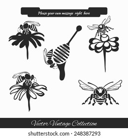 Vector set for honey sketches. Abstract design of a bee