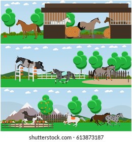 Vector set of horse riding interior posters, banners. Equestrian field with show jumper horses, stable, free horses, countryside landscape design elements in flat style.