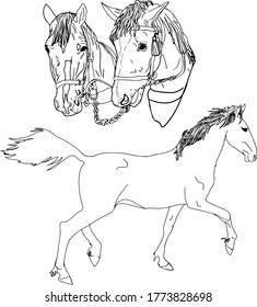 Juego de vectores de caballos, caballos en arnés. Vector en blanco para diseñadores, coloreado, para imprimir en ropa, embalaje, logotipo, icono