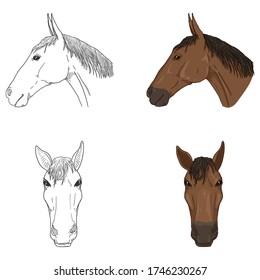 Vector Set of Horses Head Illustrations. Sketch and Cartoon Equine Faces.