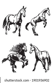 Vector set of horses isolated on white background,graphical illustration