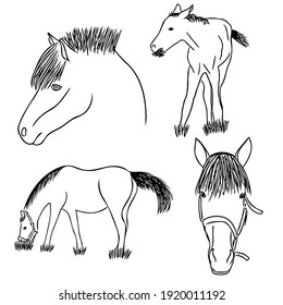 Vector set with horses.  Sketch illustrations for design, prints, posters, emblems and logos.