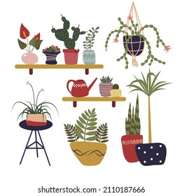 
Vector set of house plants