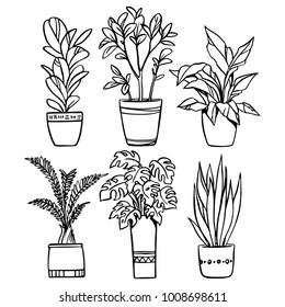 Featured image of post Cute Easy Plant Drawings - Have fun &amp; happy drawing!